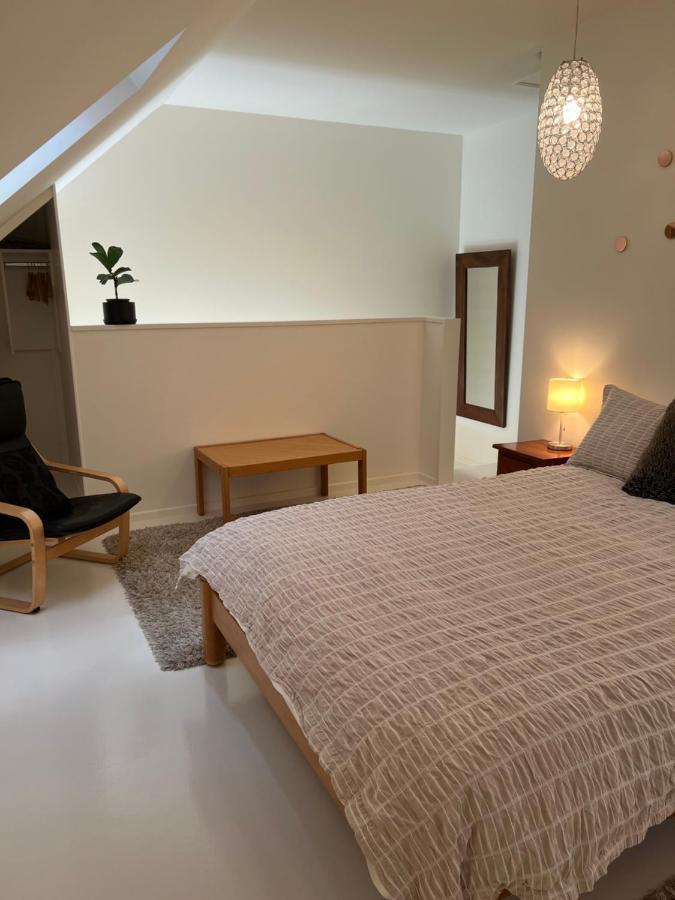 Beech Hill - Pet Friendly Holiday Home Tasman Luaran gambar