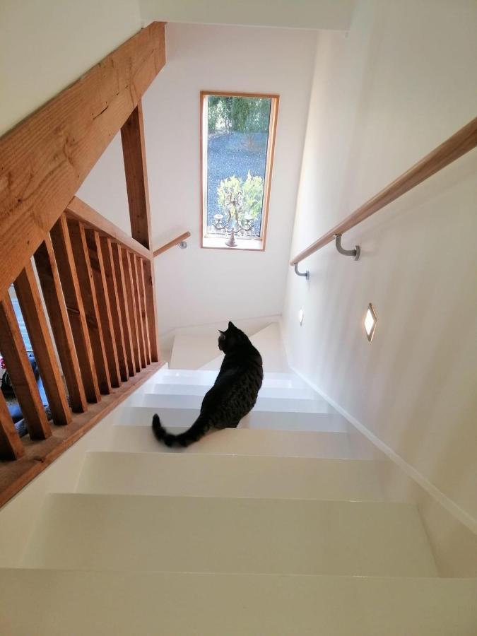 Beech Hill - Pet Friendly Holiday Home Tasman Luaran gambar