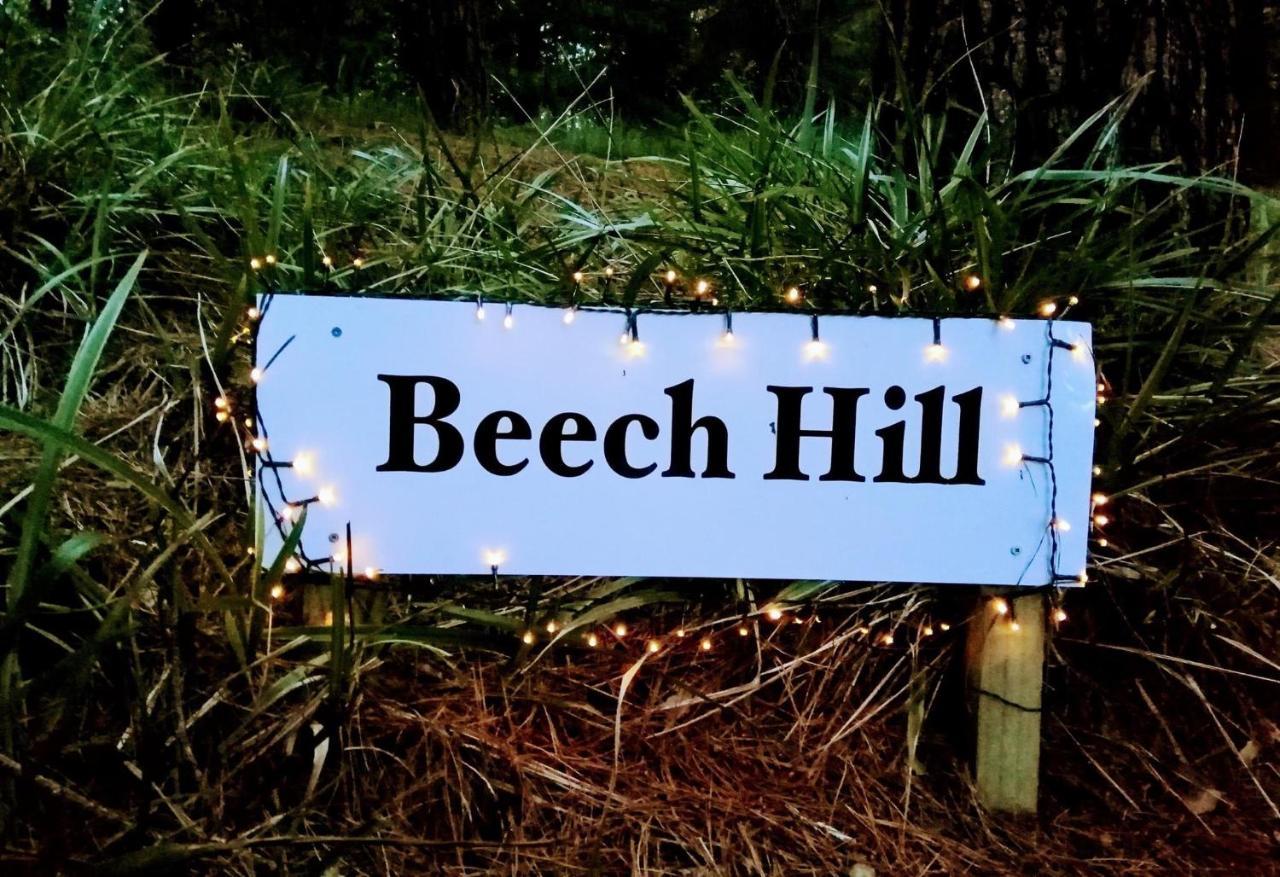Beech Hill - Pet Friendly Holiday Home Tasman Luaran gambar