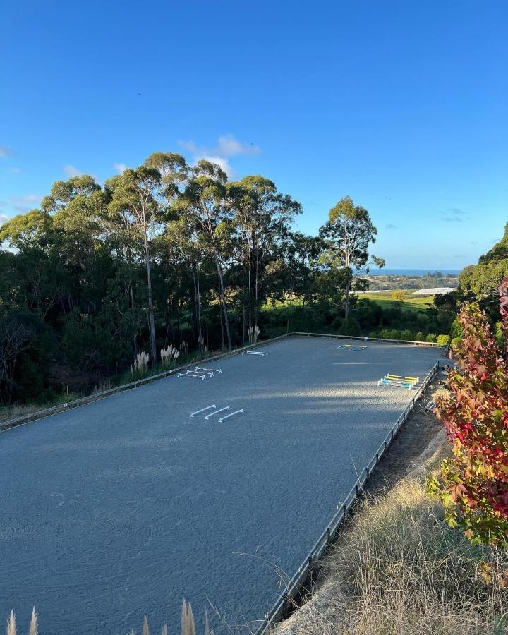 Beech Hill - Pet Friendly Holiday Home Tasman Luaran gambar