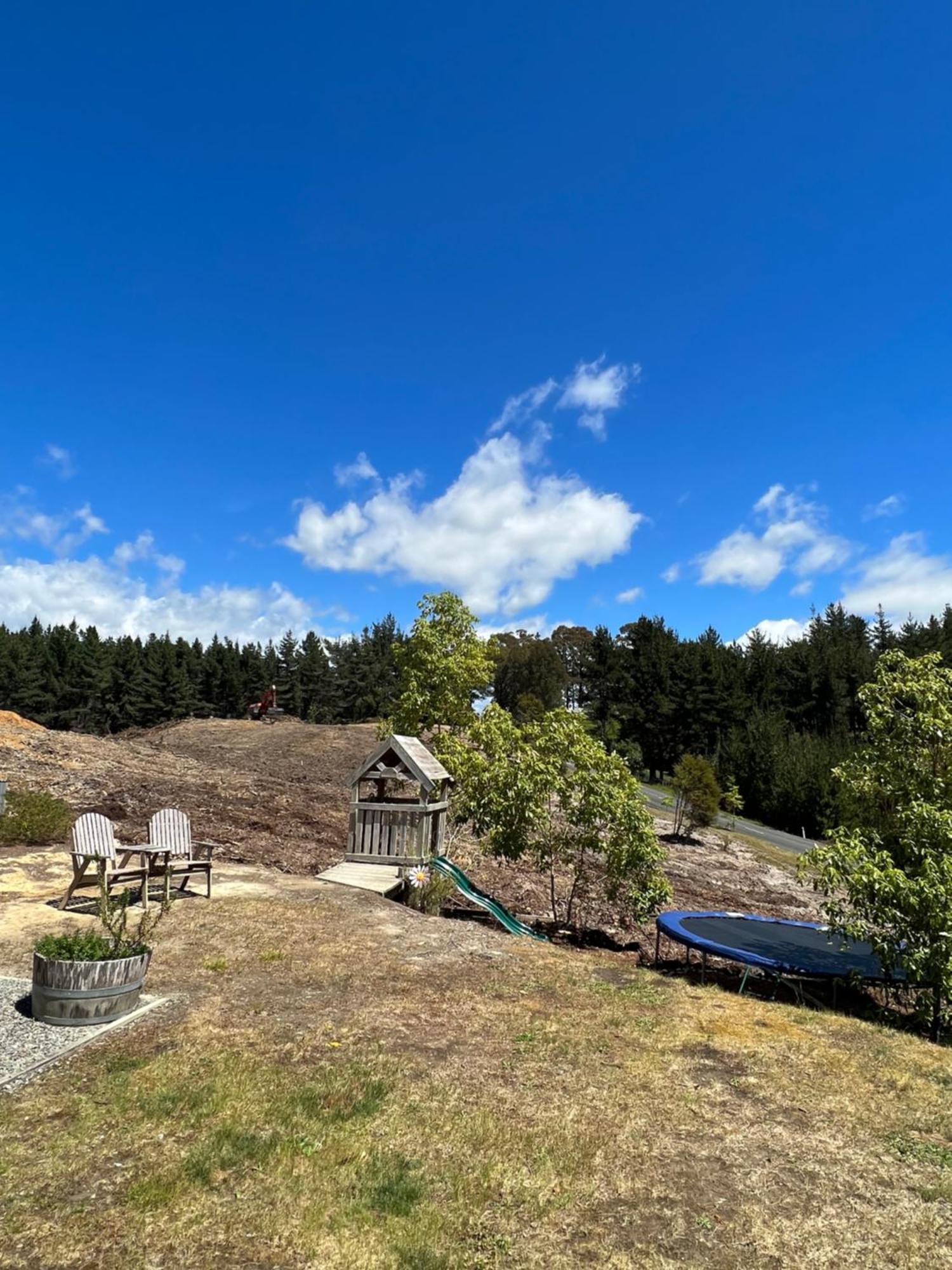 Beech Hill - Pet Friendly Holiday Home Tasman Luaran gambar